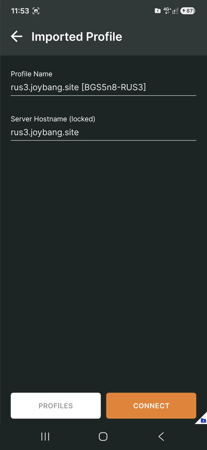 OpenVPN Connect для Android — На примере продемонстритрую локацию Россия, Москва. Выберем файл .ovpn (BGS5n8-RUS3).